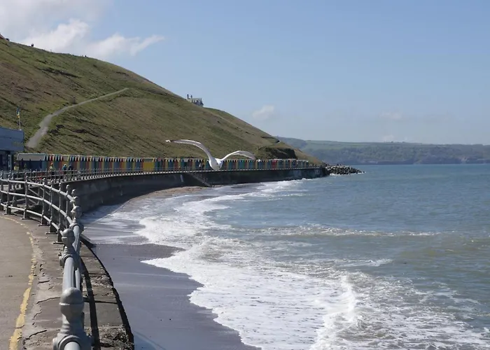 بيت للعطل White Goose *